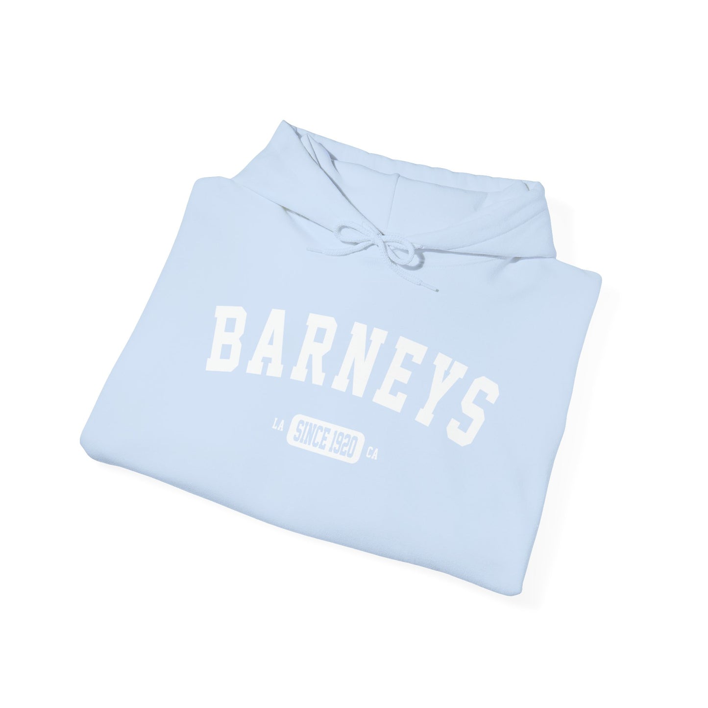 Vintage Collegiate Hoodie. BARNEY'S BEANERY - Womens Graphic Hoodie | Gildan 18500