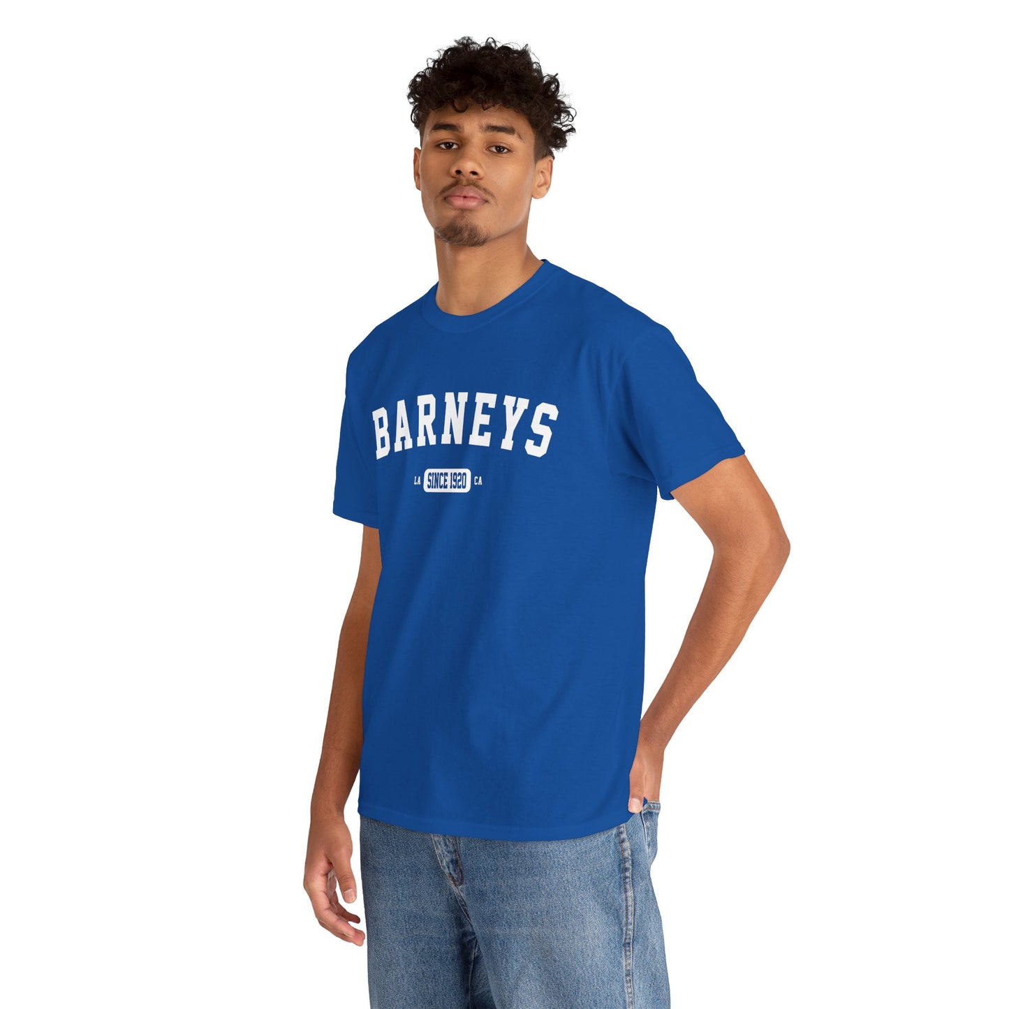 Vintage Collegiate T-Shirt. BARNEY'S BEANERY - Mens Graphic Tee | Gildan 5000