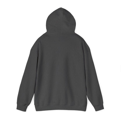 Vintage Collegiate Hoodie. BARNEY'S BEANERY - Mens Graphic Hoodie | Gildan 18500