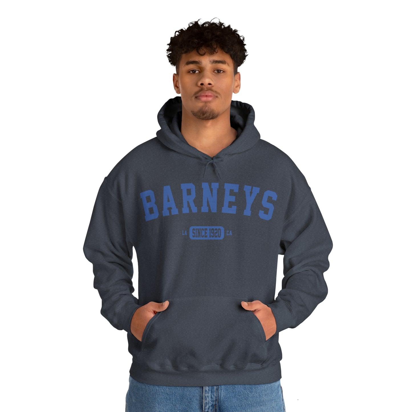 Vintage Collegiate | BARNEY'S BEANERY - Men's Graphic Hoodie