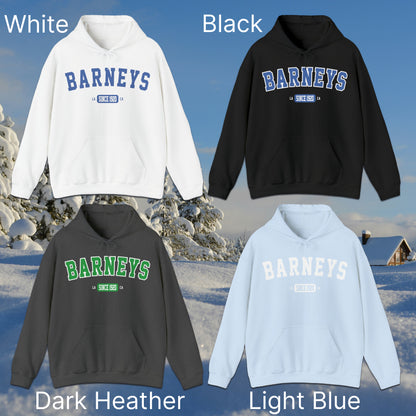 Vintage Collegiate | BARNEY'S BEANERY - Women's Graphic Hoodie | White, Black, Dark Heather, Light Blue Gildan 18500 Hoodies - Graphics On Front Flat Lay View