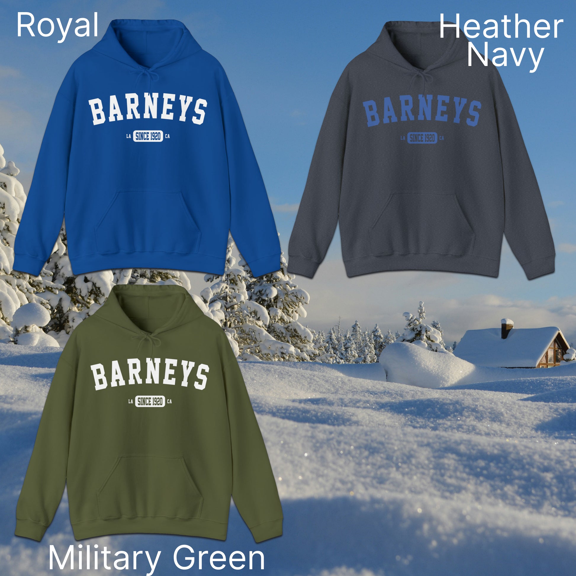 Vintage Collegiate | BARNEY'S BEANERY - Women's Graphic Hoodie | Royal, Heather Navy, Military Green Gildan 18500 Hoodies - Graphics On Front Flat Lay View